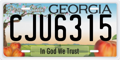 GA license plate CJU6315