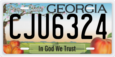 GA license plate CJU6324