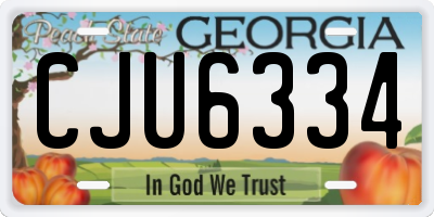 GA license plate CJU6334