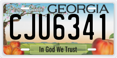GA license plate CJU6341
