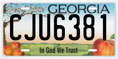 GA license plate CJU6381