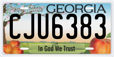 GA license plate CJU6383