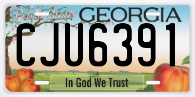 GA license plate CJU6391