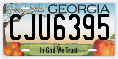 GA license plate CJU6395