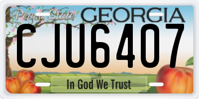 GA license plate CJU6407