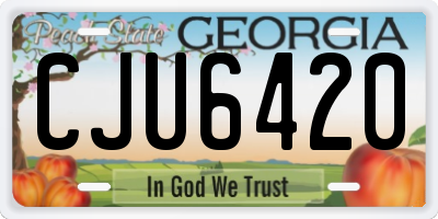 GA license plate CJU6420