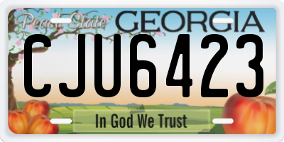 GA license plate CJU6423