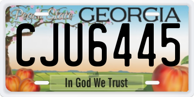GA license plate CJU6445