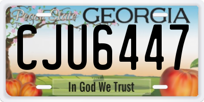 GA license plate CJU6447