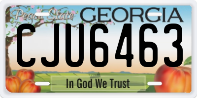 GA license plate CJU6463