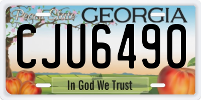GA license plate CJU6490