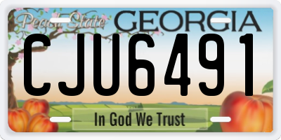 GA license plate CJU6491