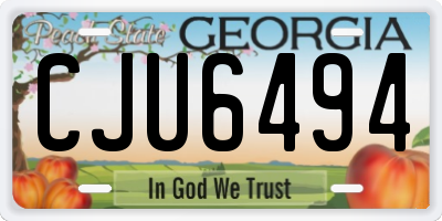 GA license plate CJU6494