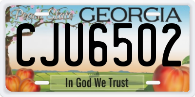 GA license plate CJU6502