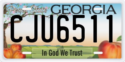 GA license plate CJU6511