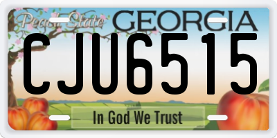 GA license plate CJU6515