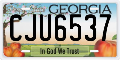 GA license plate CJU6537