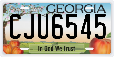 GA license plate CJU6545