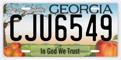 GA license plate CJU6549