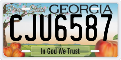 GA license plate CJU6587