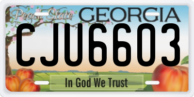 GA license plate CJU6603