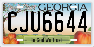 GA license plate CJU6644