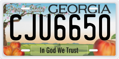 GA license plate CJU6650