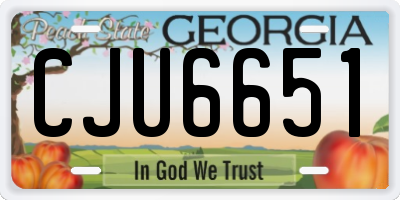 GA license plate CJU6651