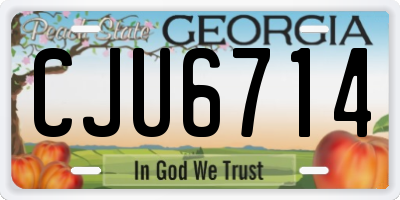 GA license plate CJU6714