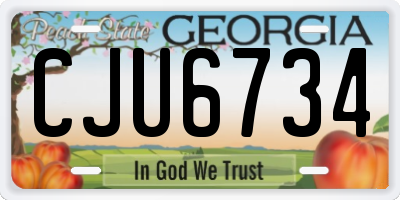 GA license plate CJU6734