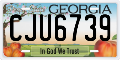 GA license plate CJU6739