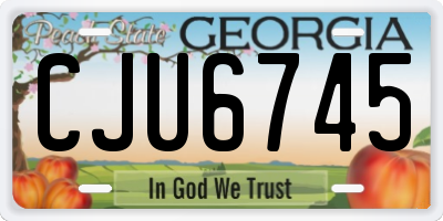 GA license plate CJU6745