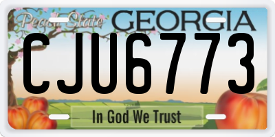 GA license plate CJU6773