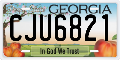 GA license plate CJU6821