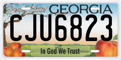 GA license plate CJU6823