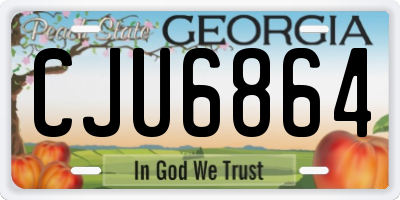 GA license plate CJU6864