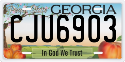 GA license plate CJU6903