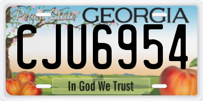 GA license plate CJU6954