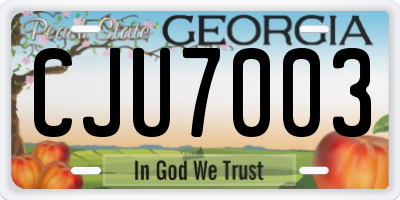 GA license plate CJU7003