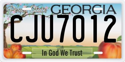 GA license plate CJU7012