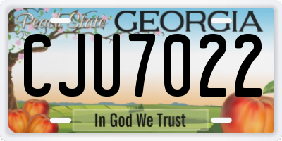 GA license plate CJU7022