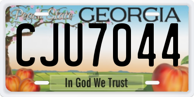 GA license plate CJU7044