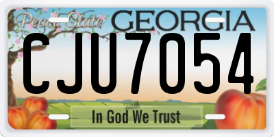 GA license plate CJU7054