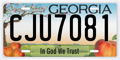 GA license plate CJU7081