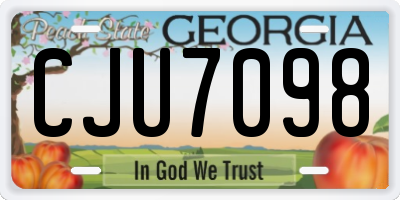 GA license plate CJU7098