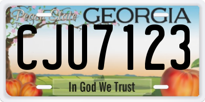 GA license plate CJU7123