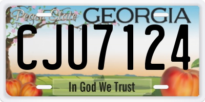 GA license plate CJU7124