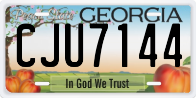 GA license plate CJU7144