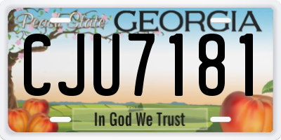 GA license plate CJU7181