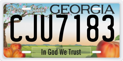 GA license plate CJU7183